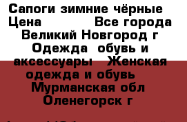 Сапоги зимние чёрные › Цена ­ 3 000 - Все города, Великий Новгород г. Одежда, обувь и аксессуары » Женская одежда и обувь   . Мурманская обл.,Оленегорск г.